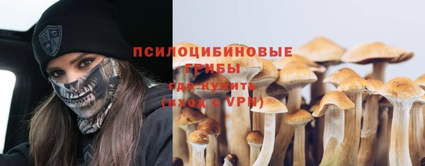 метадон Арсеньев
