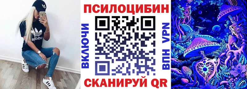 купить наркоту Николаевск-на-Амуре Галлюциногенные грибы ЛСД