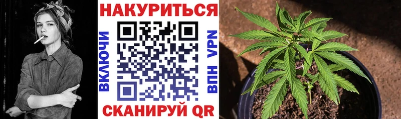 Шишки марихуана план  Николаевск-на-Амуре 